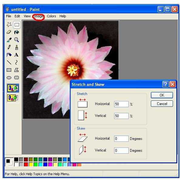 How To Edit A Picture On Paint at rolandjarnold blog