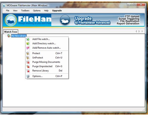 Commands in Using FileHamster