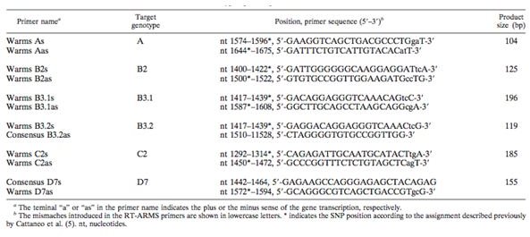 Figure 4 - Genotype-Specific Primers for RT-ARMS P