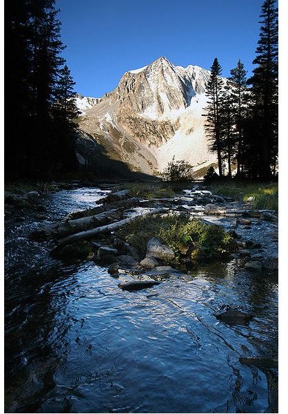 Colorado's Biodiversity : The Struggle for Preservation