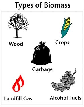 Sources of Biomass Materials. What are Biomass Sources? What is Biomass Energy?