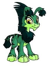 Neopets