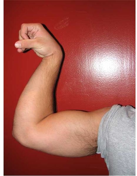 How To Get Ripped Arms and Bigger Biceps Triceps