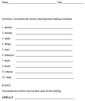 Ladybug Worksheet