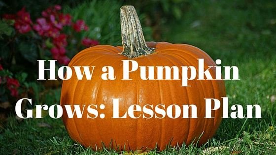 Life Cycle of a Pumpkin Lesson Plan for Preschool: From Seed to Pumpkin