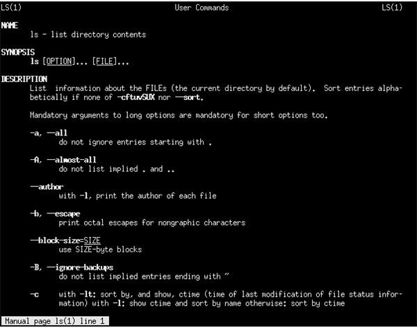 Common Linux Commands and Shortcuts – A Real Linux Newbie's Starting Point