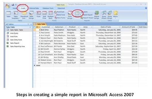 Microsoft Access 2007 Reports