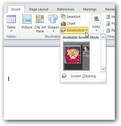 Inserting a Screenshot in Word 2010