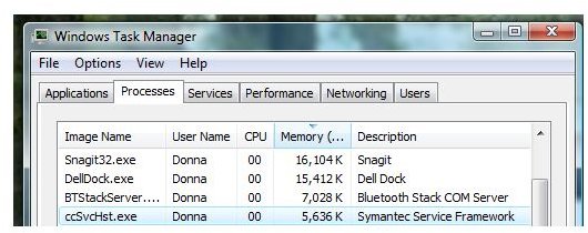 Memory Usage of NIS during a scan