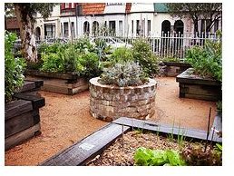 Raised Beds by digika