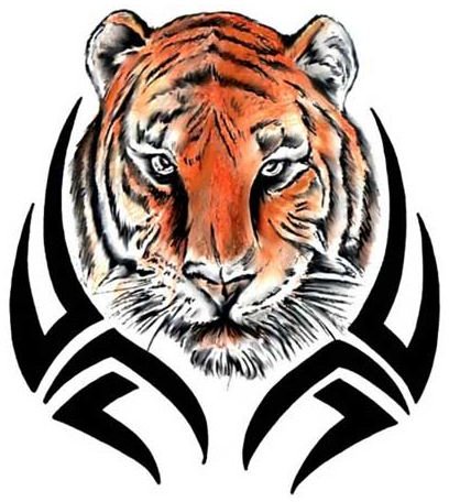 Tiger.jpeg
