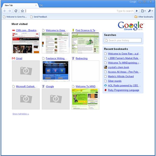 Using Google Chrome