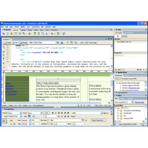 Adobe Dreamweaver CS3 versus Microsoft Expression Web - Which is Better?