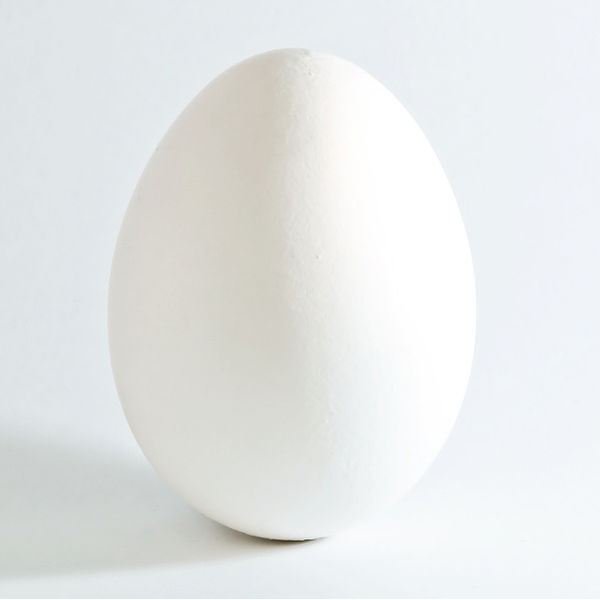 Eggs: Top Five Benefits of Eggs - Including Nutrition Facts & Storing Tips for Eggs