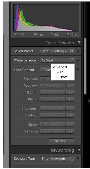 Using RAW with Adobe Lightroom - Quick Easy Way to Understand RAW Format When Using Adobe Lightroom