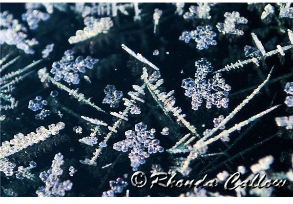 Frost on the car window