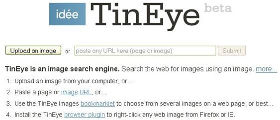 Find Out Who is Using Your Digital Photos on the Internet with TinEye
