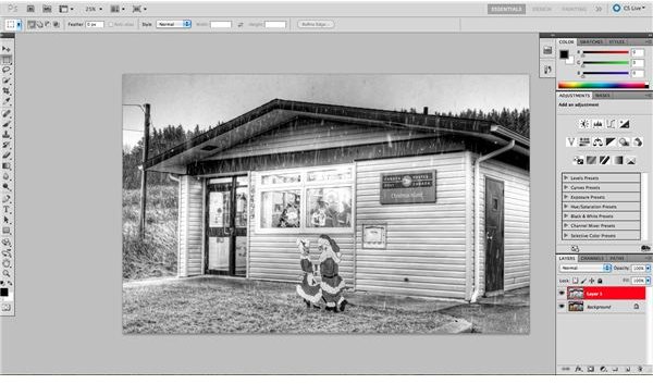 How to Use Selective Coloring: Photo Editing Technique to Bring Attention to Your Subject