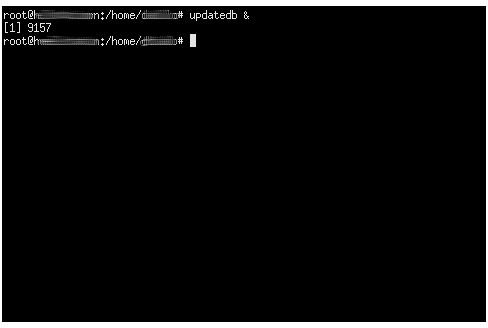 Multitasking Example: Running updatedb command in the background