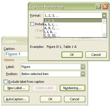 Caption Numbering