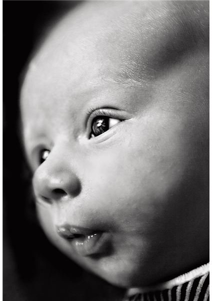 Black and White Baby Photos