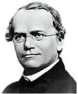 Famous Scientists in Genetics: Gregor Mendel