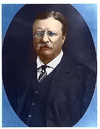 Theodore Roosevelt Colorized