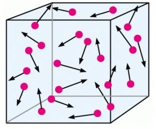 The molecular motion is random