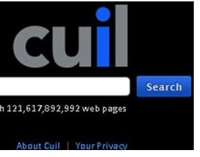 Cuil Search Engine Review: A Viable Alternative To Google?