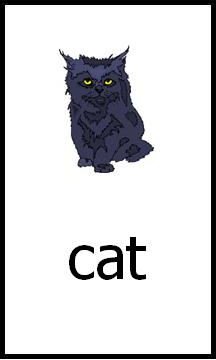 Cat Flashcard