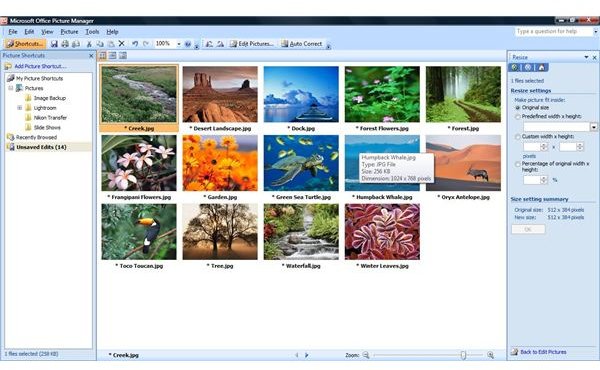 How to Stretch a Photo - Microsoft Office Picture Manager