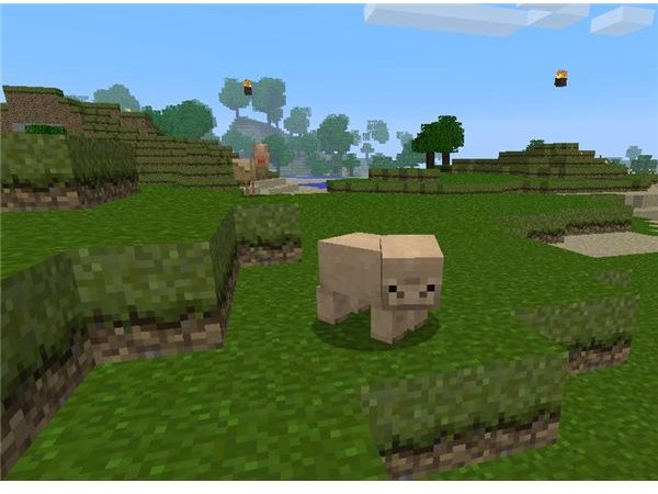 A Silly Pig As Seen in The Quandary Minecraft Texture Pack