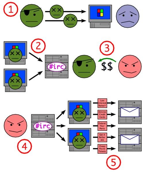 Understanding Botnets - What They Are and What They Can Do