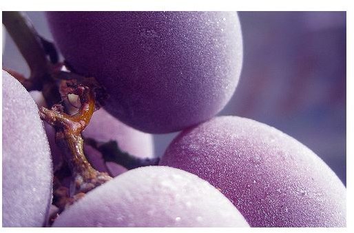 Frozen Grapes as a Snack: Nutritional Benefits, Good for Dieters, & Lower Sugar Alternatives