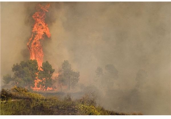 Modern Techniques in Fighting Forest Fires