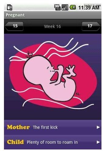 Pregnancy-Calendar
