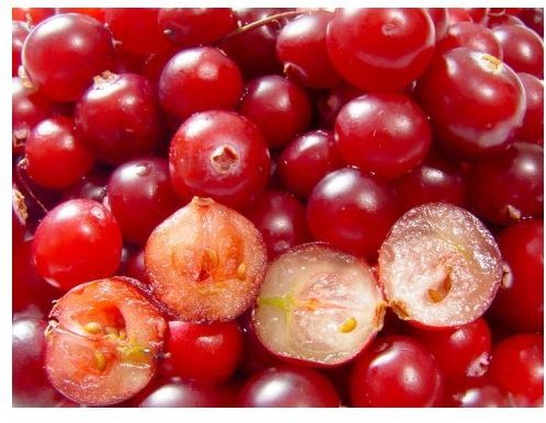 Learn about Foods Good for Kidney Health