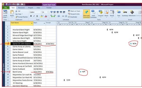 Project Milestone - Gantt view