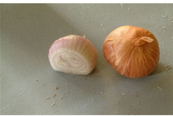 Learn the Differences Between Two Similar Foods: Shallots and Scallions