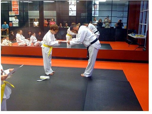 Tae Kwon Do Belt Colors - Photo by Flickr user Melissa Clark