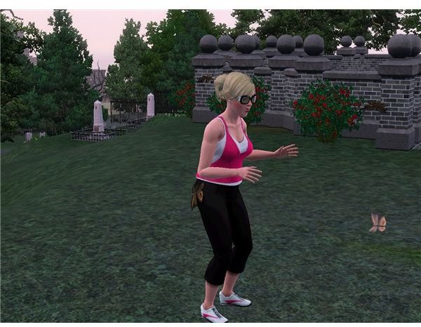 Sims 3 Moths in Graveyard