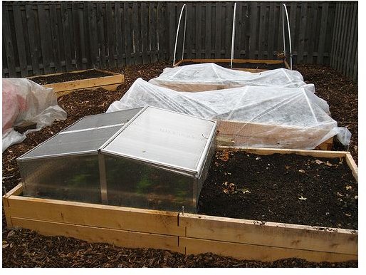 What is Cold Frame Gardening? Learn How to Grow a Cold Frame Garden in Your Yard Easily
