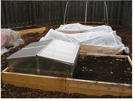 Cold Frame