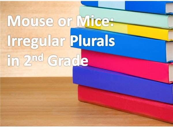 Worksheet and Activity Ideas for Teaching Irregular Plural Nouns to Second Grade Students