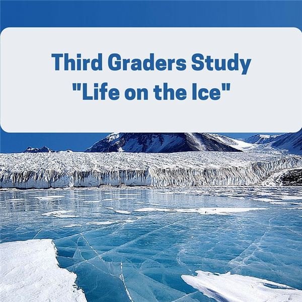 Grade Three Lesson Plan for “Life on the Ice” by Susan E. Goodman