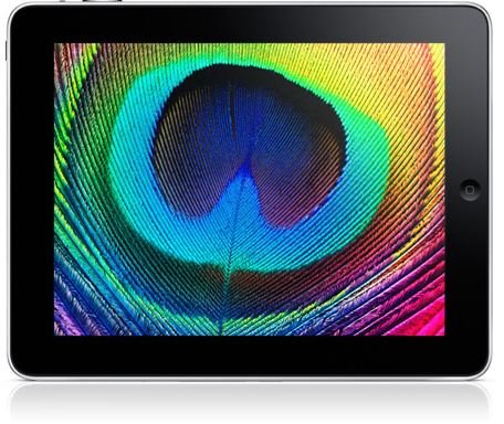 iPad product image- LED color display