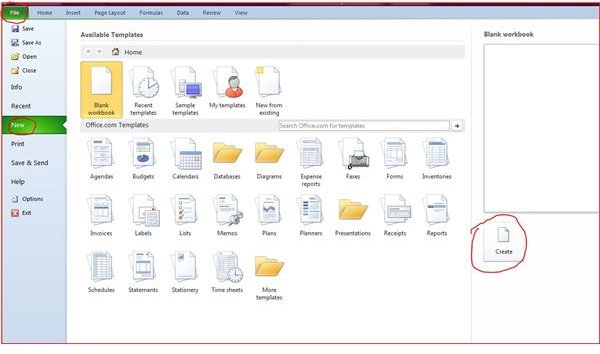 Screenshot Examples of Microsoft Project Plans