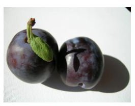 The Health Benefits of Eating Prunes and Plums