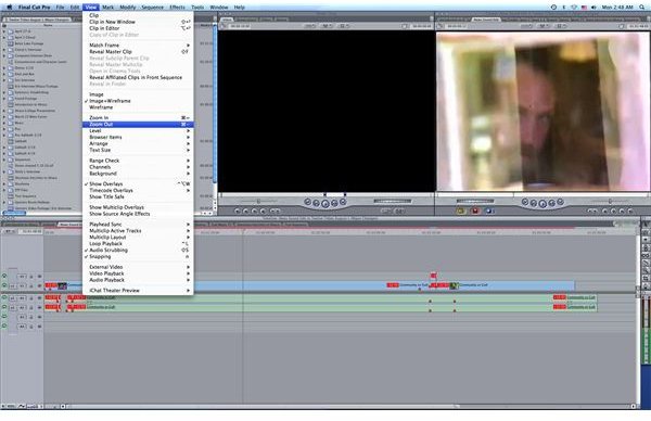 Final Cut Pro Tutorial: How to Change the Appearance of Objects in the Timeline