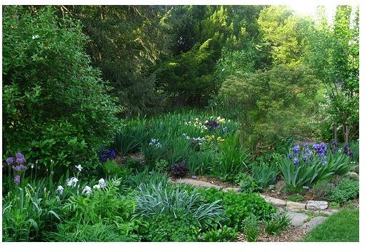 Direct Composting Organic Materials When You Can't Have A Compost Pile